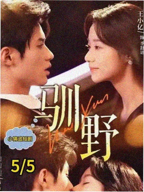 男女那个视频 电梯里的十七层 都市剧照